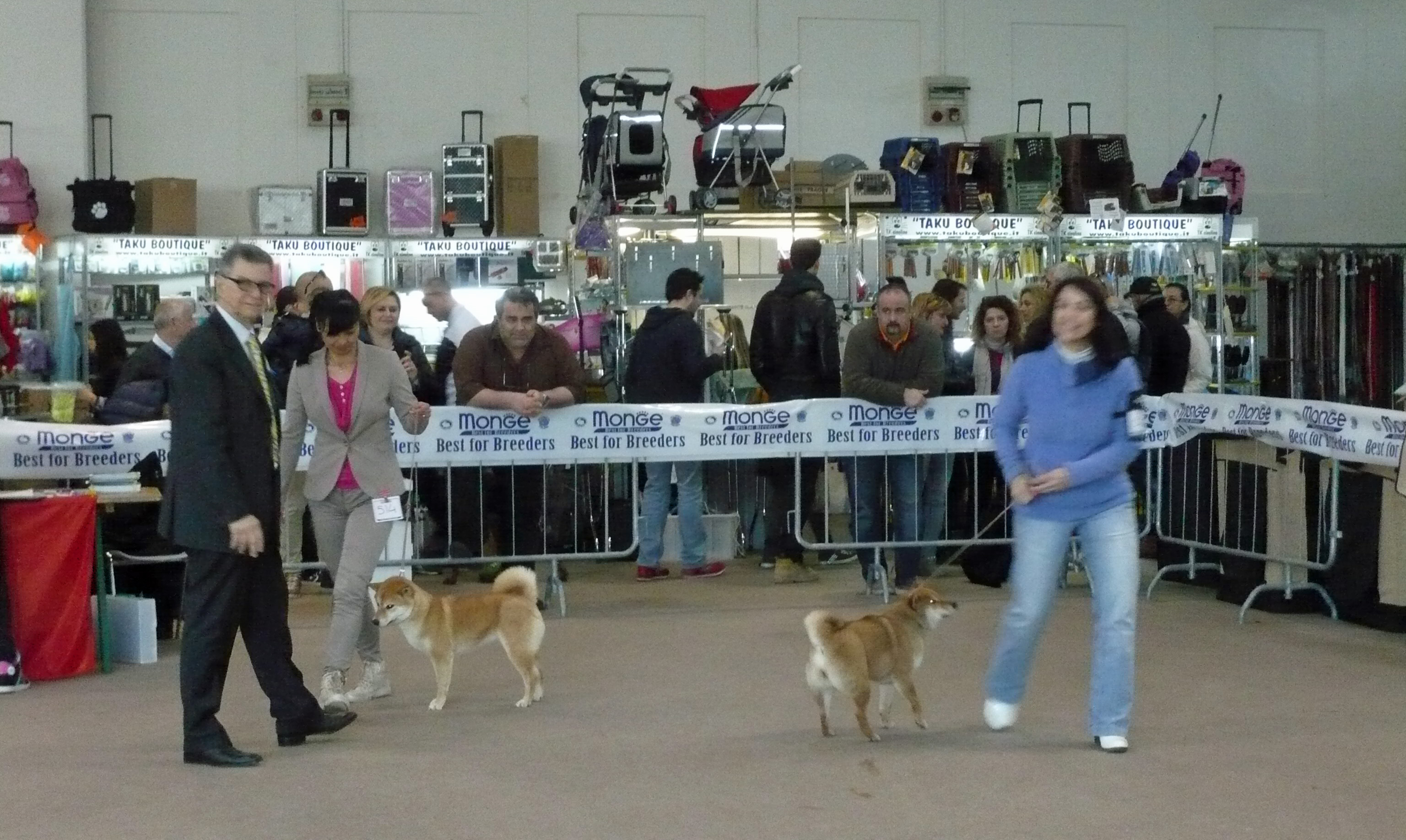 CACIB Rimini