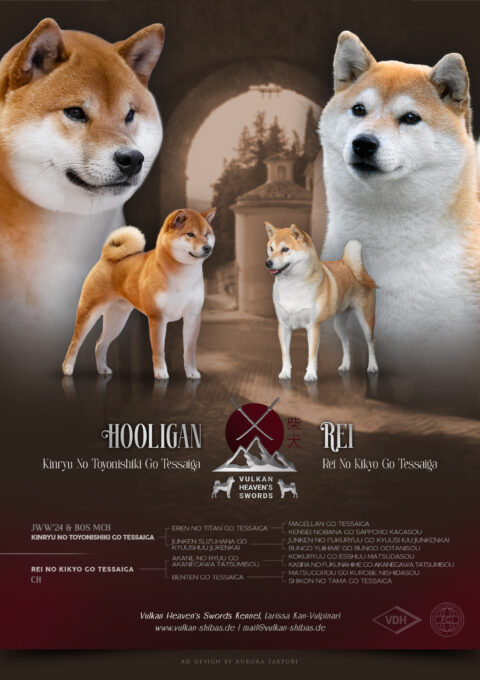 Hooligan + Rei - Shiba