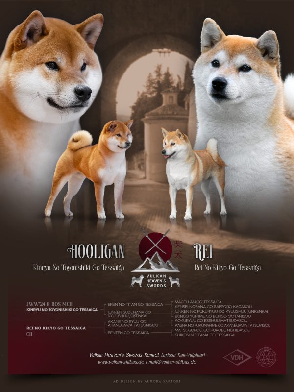 Hooligan + Rei - Shiba
