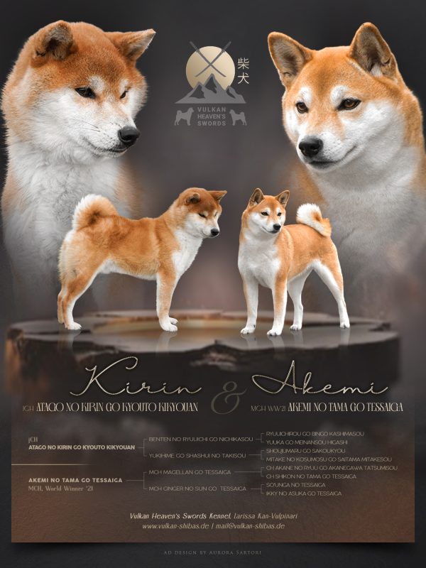 Kirin + Akemi - Shiba